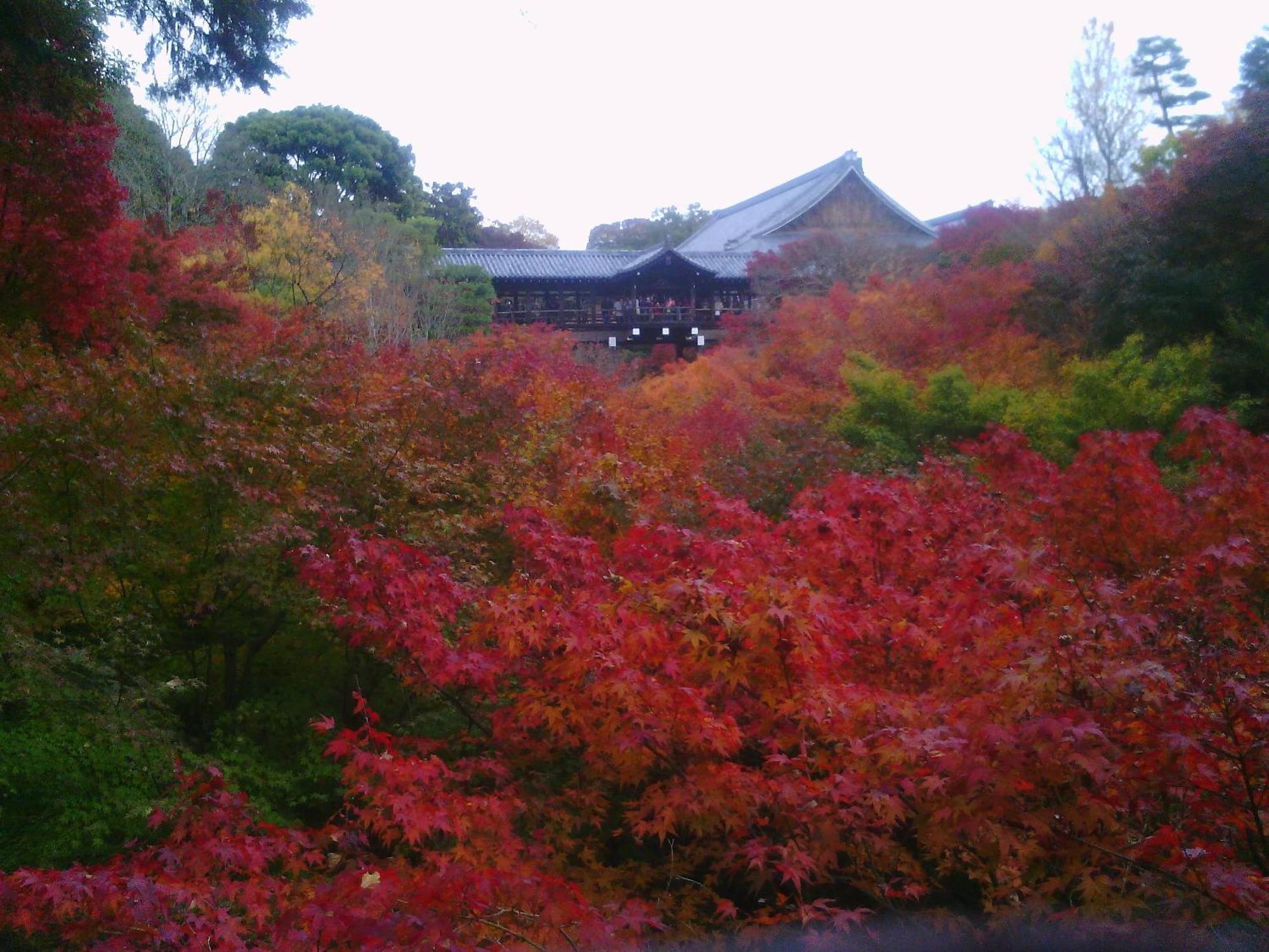 Kamuroan Kyoto Dış mekan fotoğraf